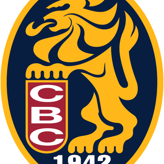 Leones del Caracas